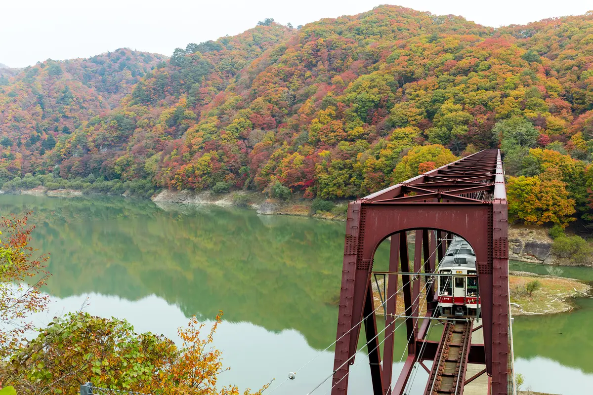 tren en otoño en canada
