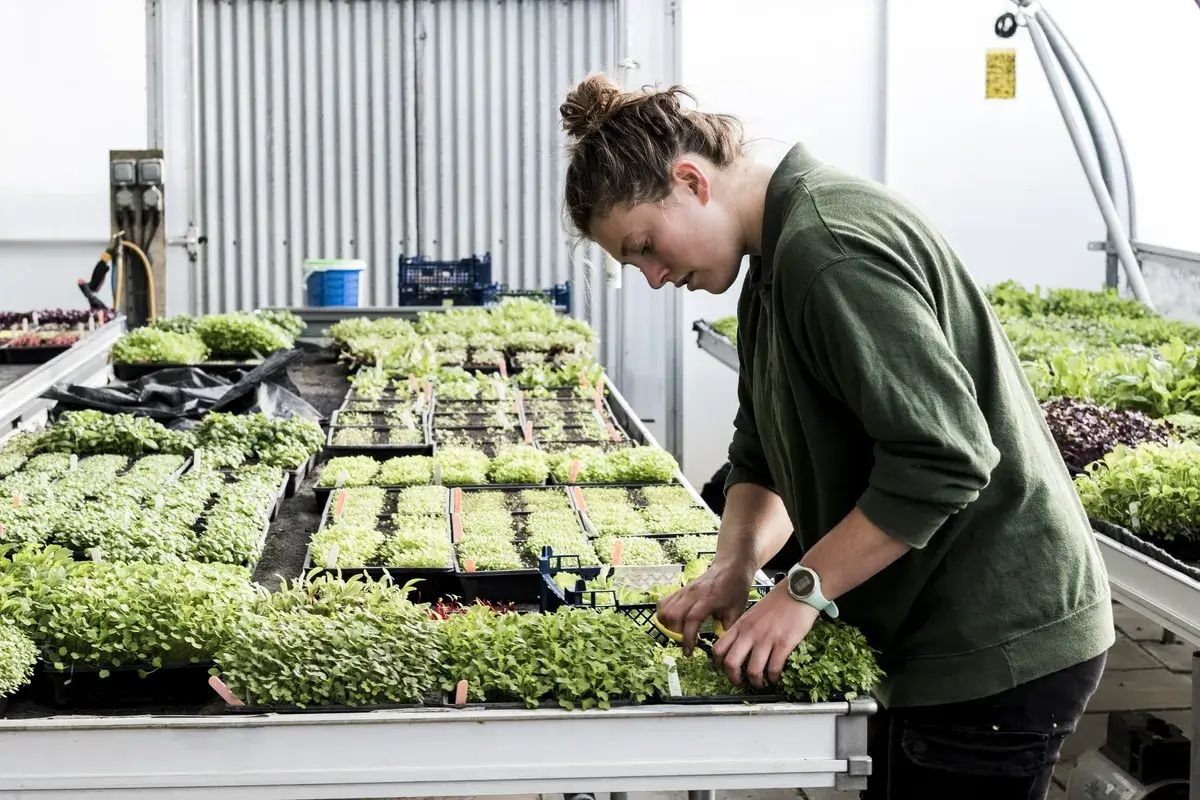 female-gardener-standing-in-a-greenhouse