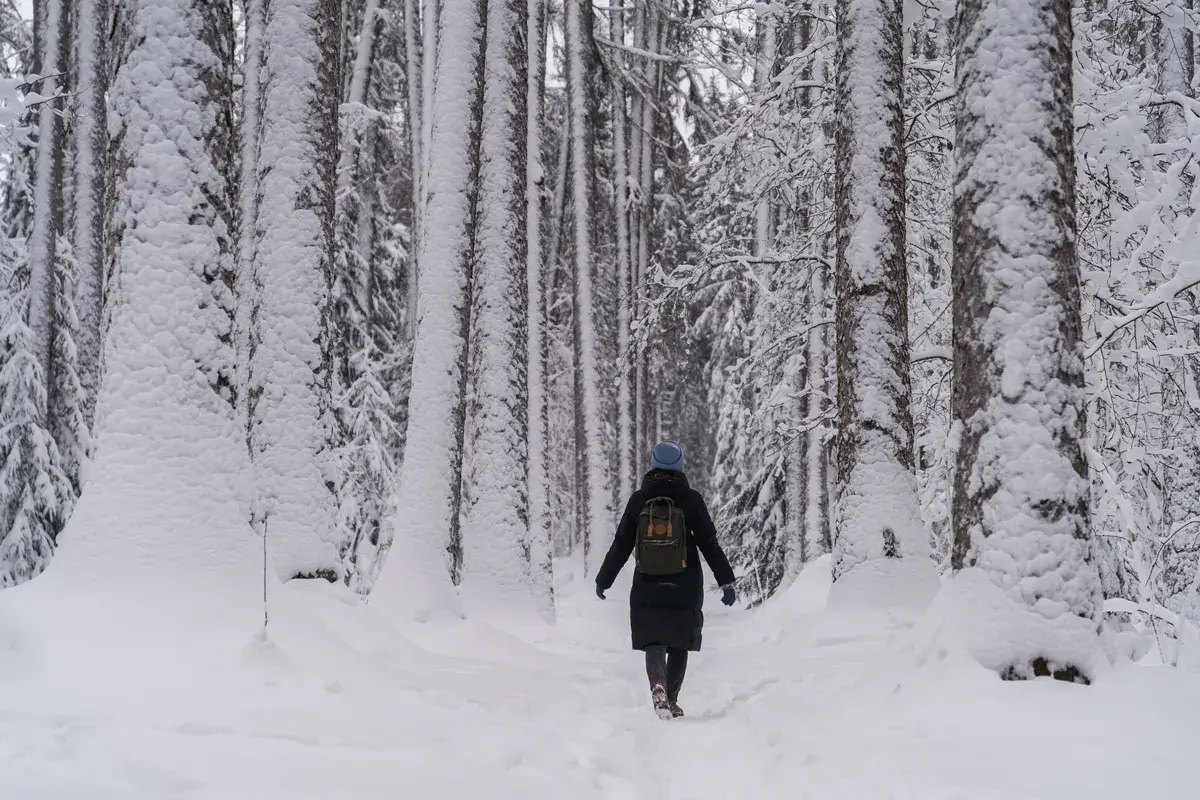 woman-strolling-in-winter-forest