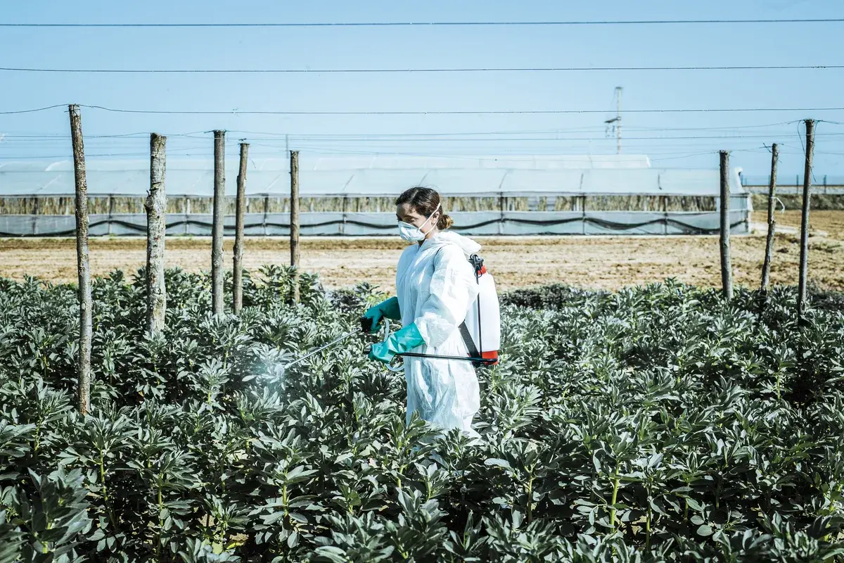 a-woman-dressed-in-a-white