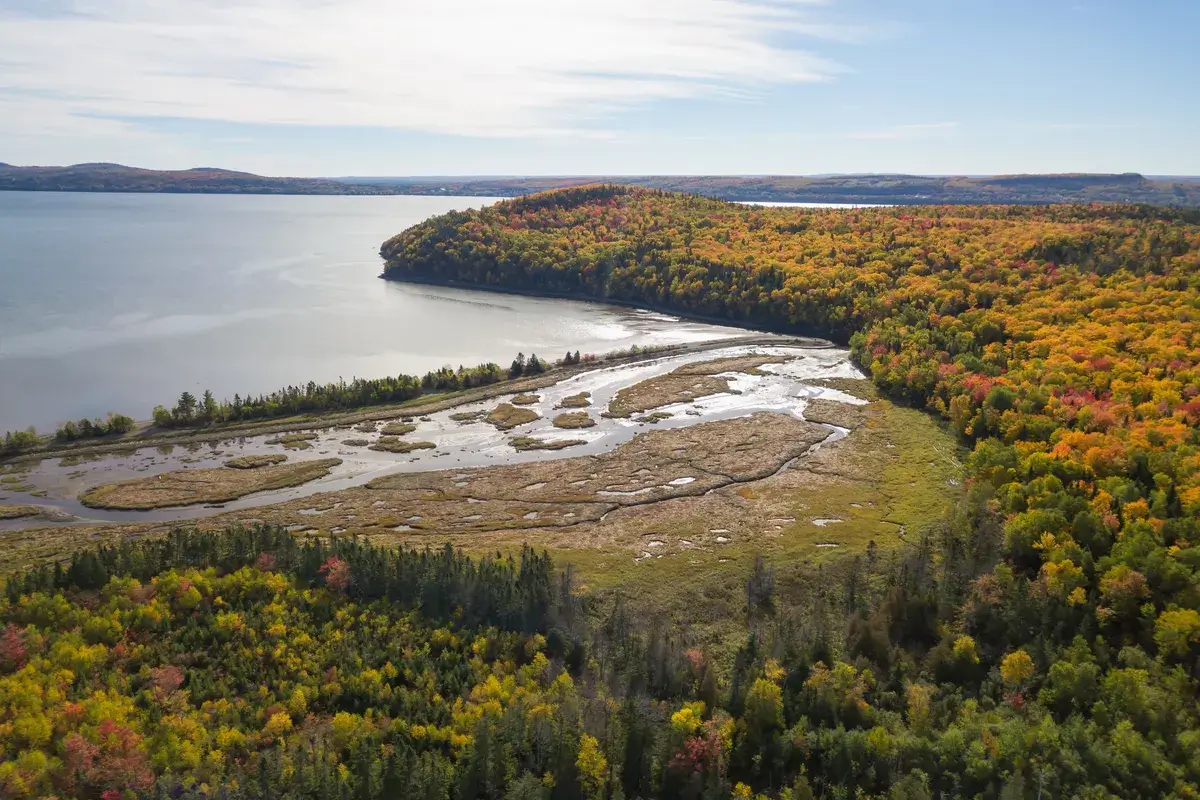 Parque Nacional Rouge