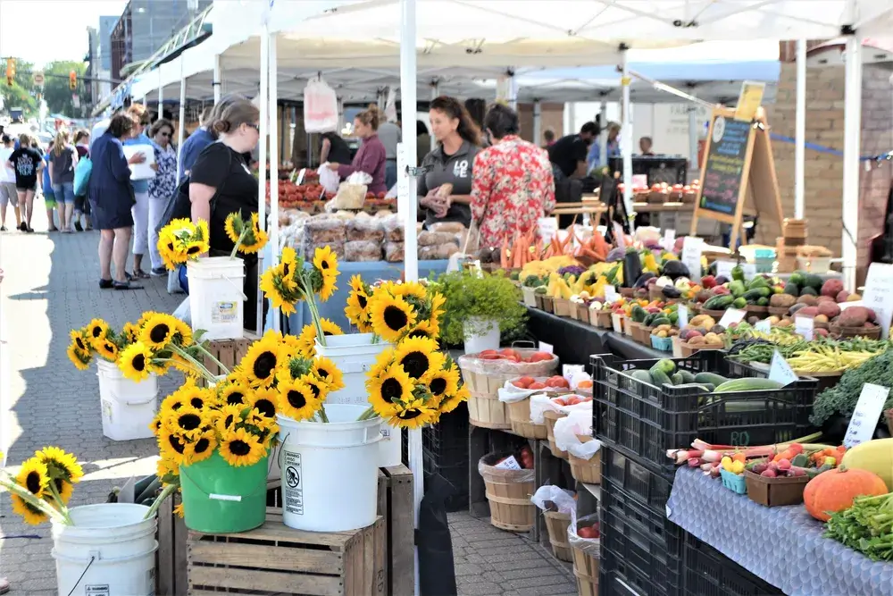 farmers-markets-sell-local-goods