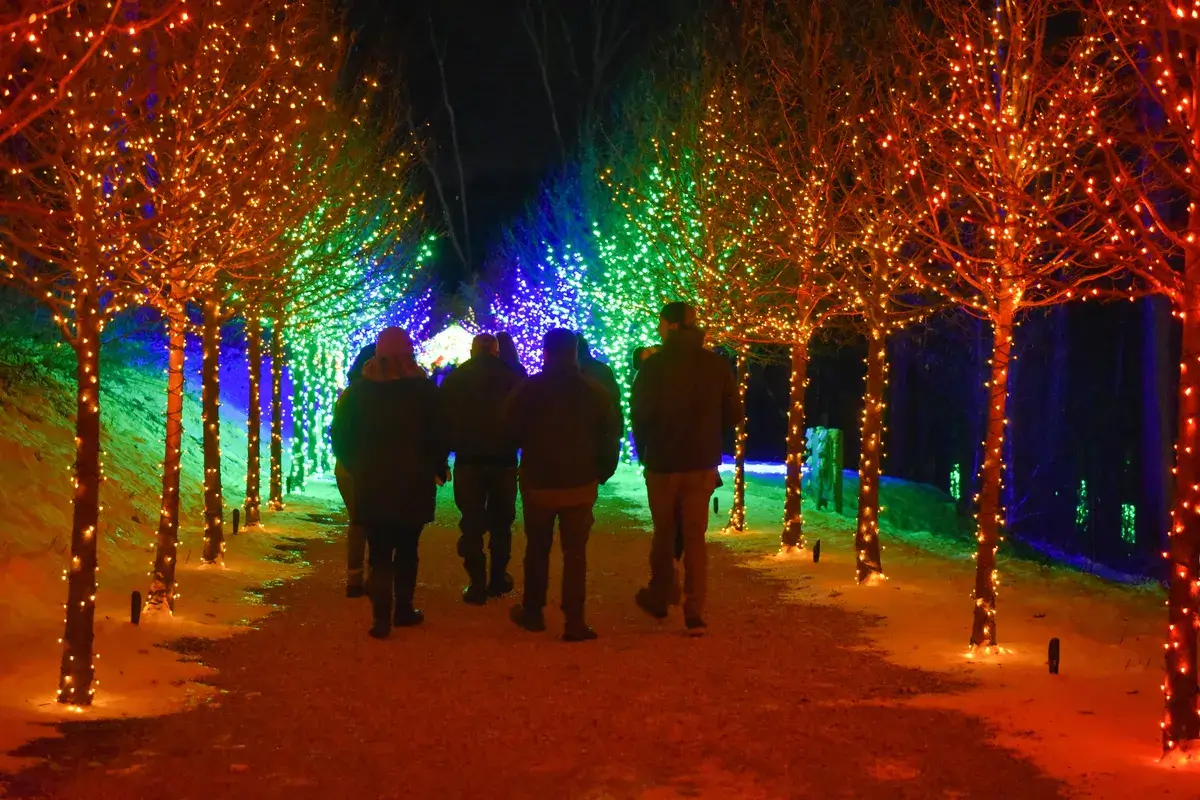 a-group-of-friends-enjoy-an-evening