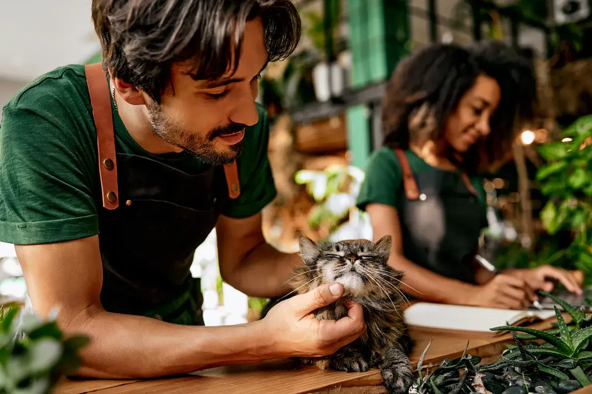 boutique-business-caucasian-bearded