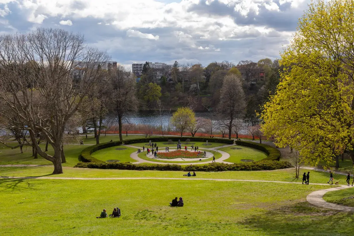 spring-time-in-park-in-toronto