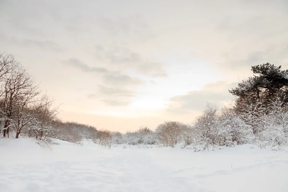 winter-landscape-of-dunes