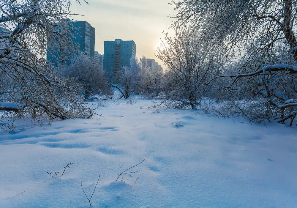 apartment-buildings-in-the-city