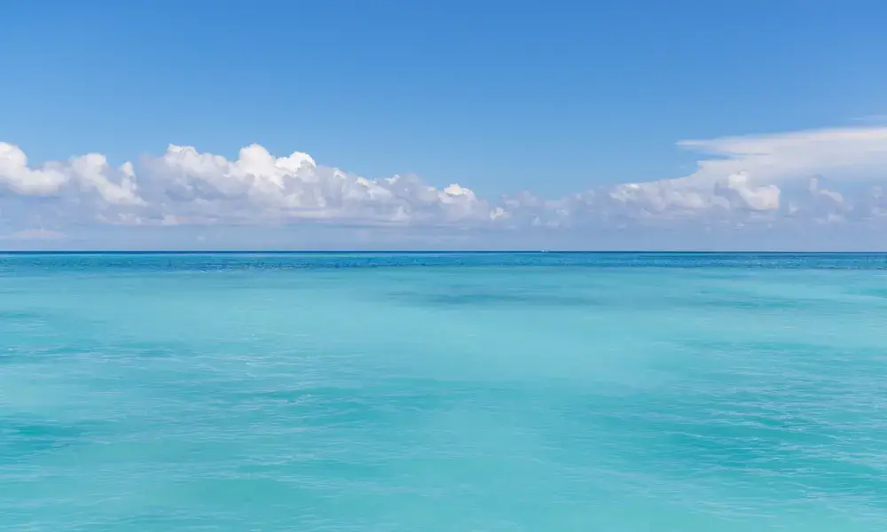 guishan-island-and-milk