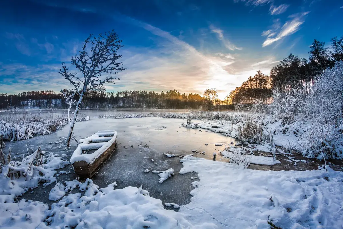 old-boat-on-the-lake-covered