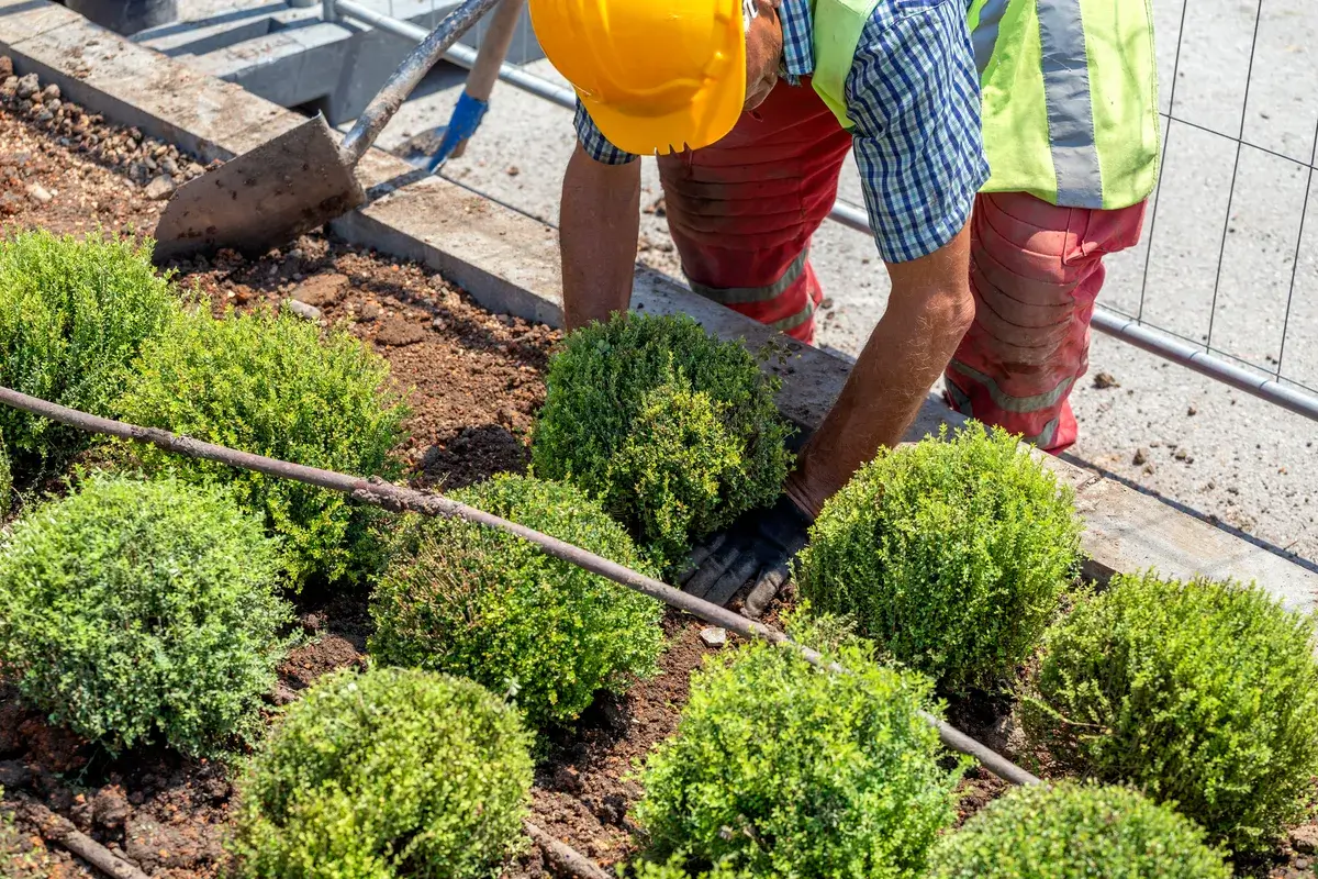 hand-are-planting-in-city-park-taking