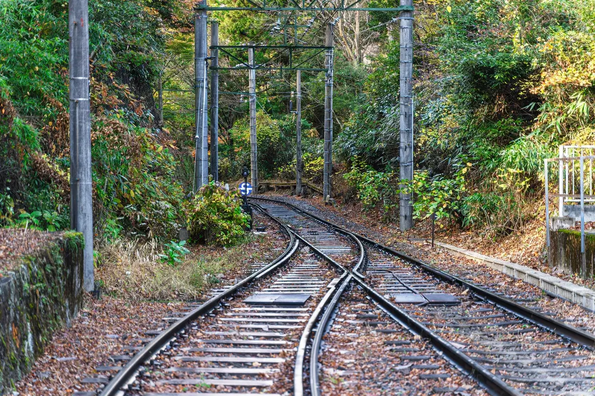 railway-in-green-forest