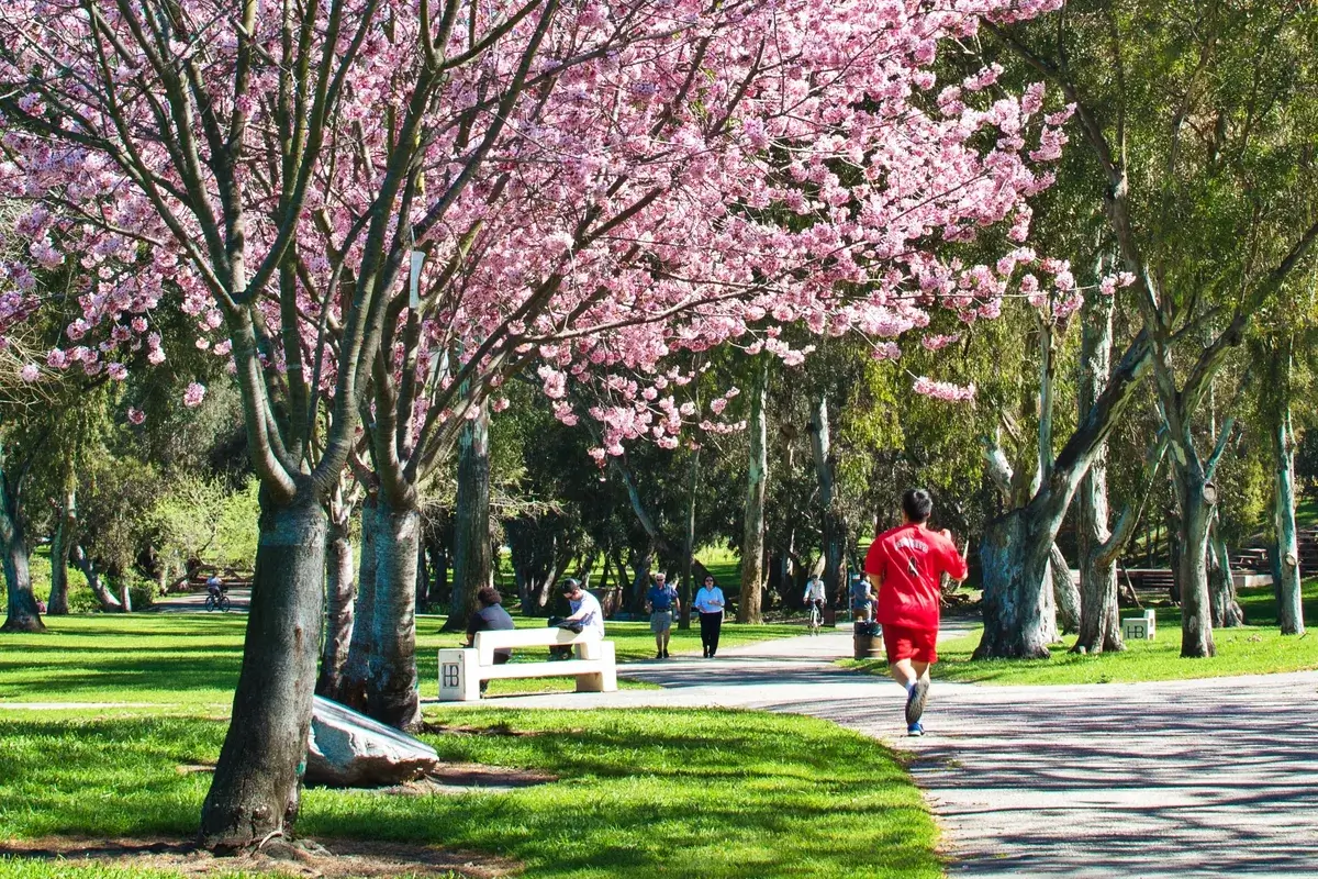 man-running-jogging-exercising