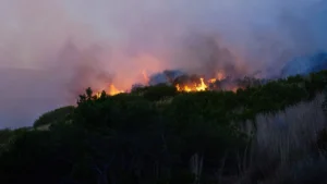 wildfire-consumes-hillside