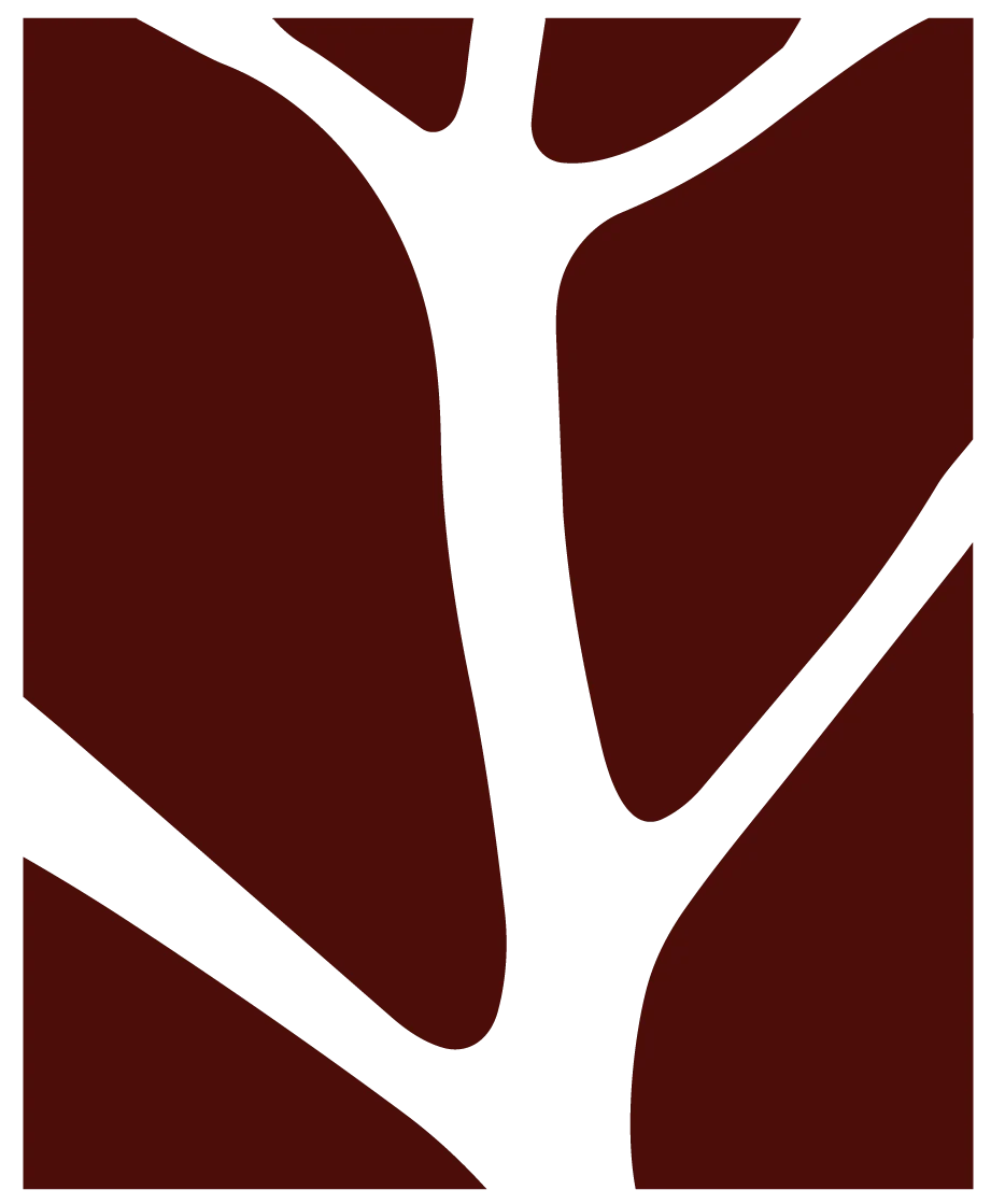 Lylko Studio