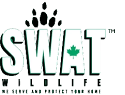 SWAT Wildlife Inc.
