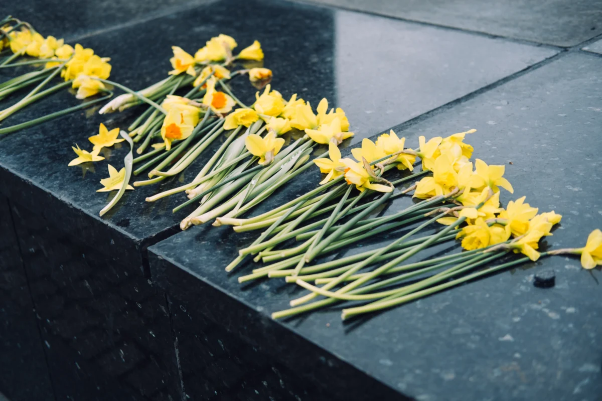 yellow-daffodils-on-a-dark