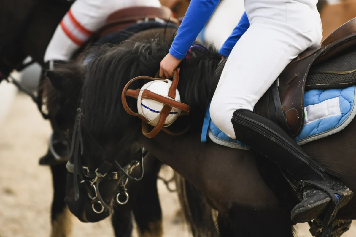 young-equestrian-riding-horse